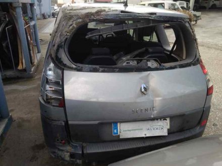 Vehiculo en el desguace: RENAULT SCENIC II Authentique