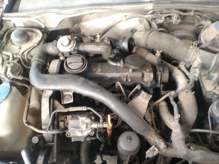 Vehiculo en el desguace: SEAT IBIZA (6K1) 1.9 TDI