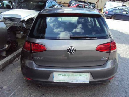 Vehiculo en el desguace: VOLKSWAGEN GOLF VII LIM. Edition BlueMotion