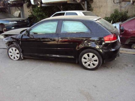 Vehiculo en el desguace: AUDI A3 (8P) 1.9 TDI e Attraction