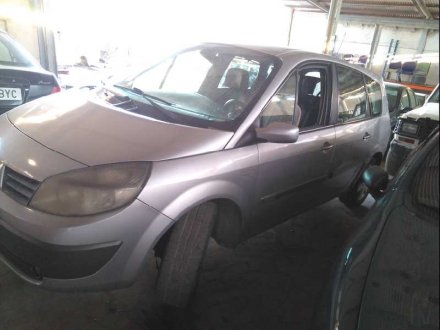 Vehiculo en el desguace: RENAULT SCENIC II Authentique