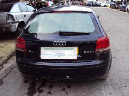 Vehiculo en el desguace: AUDI A3 (8P) 2.0 TDI Ambiente