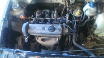 Vehiculo en el desguace: SEAT IBIZA (6K) Básico