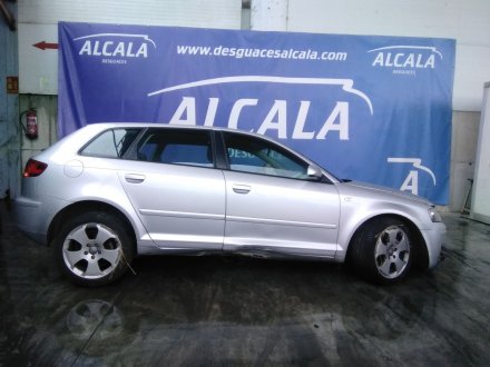 Vehiculo en el desguace: AUDI A3 (8P) 1.9 TDI