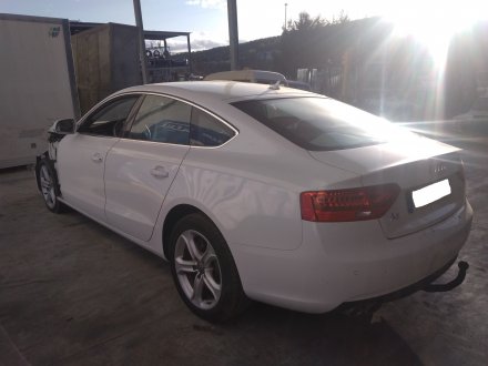 Vehiculo en el desguace: AUDI A5 SPORTBACK (8T) 2.0 TDI quattro (130kW)