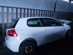 VOLKSWAGEN GOLF V (1K1) 1.9 TDI